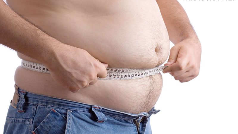 diet-the-beginning