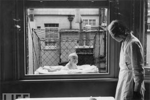 window-cage1