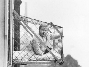 window-cage2