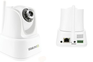 Watchbot-bg