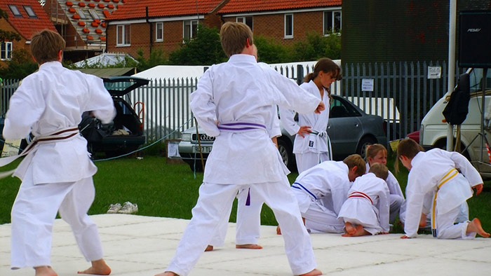 karate-club