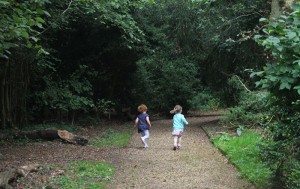 local-woods