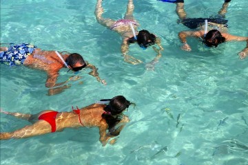 snorkelling