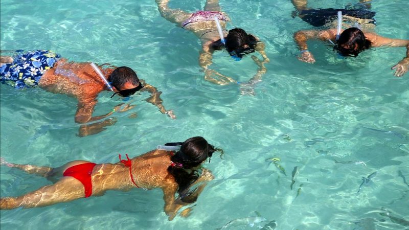 snorkelling