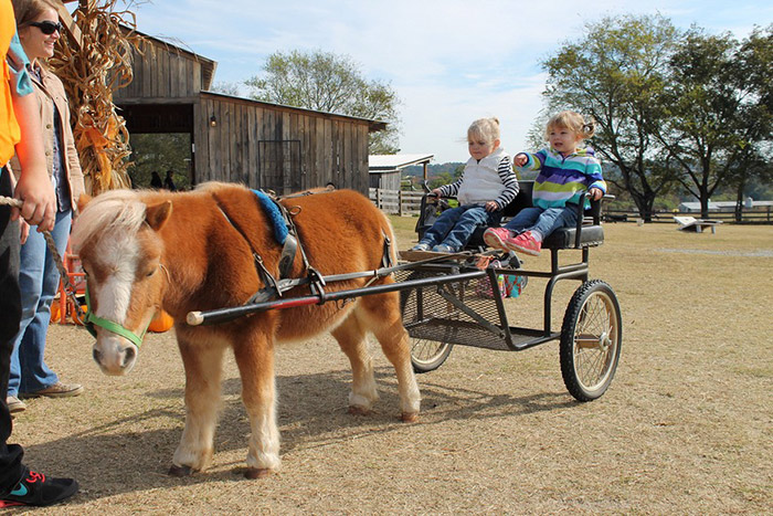 party-carriage