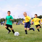 Support-your-sports-team