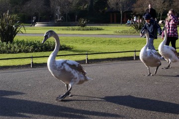 dublin-ireland