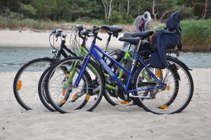 family-bikes