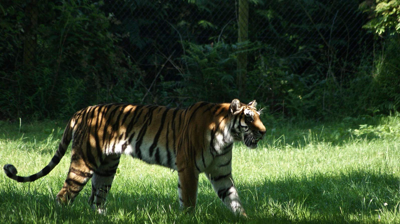 Woburn-Safari-Park