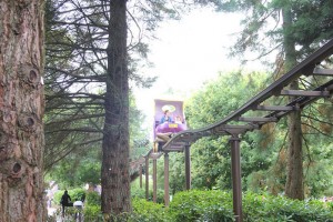 theme-park700