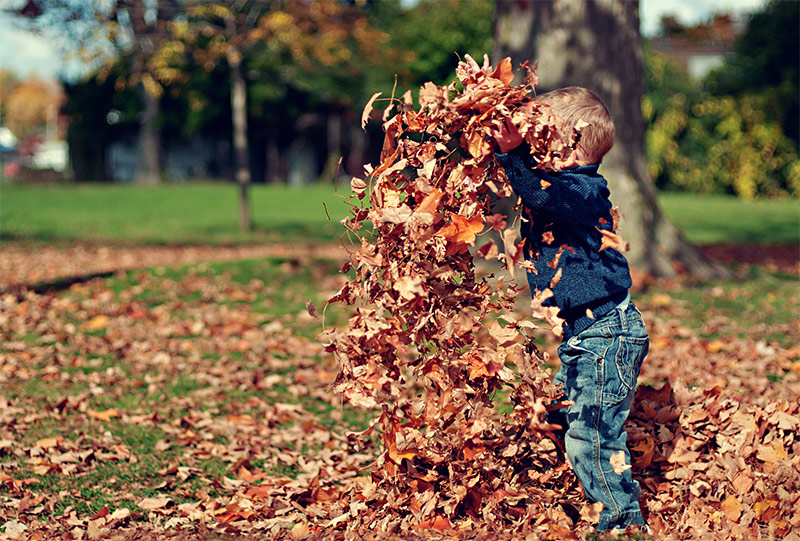 kids-in-leaves