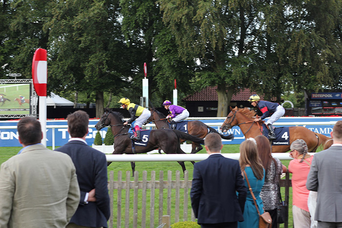 newmarket-races