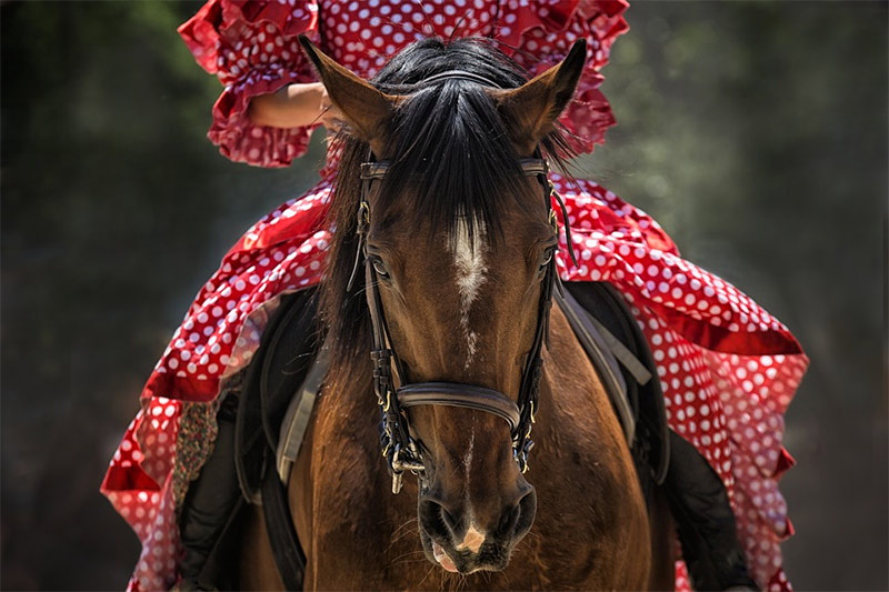 horse-riding