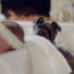 baby-dog