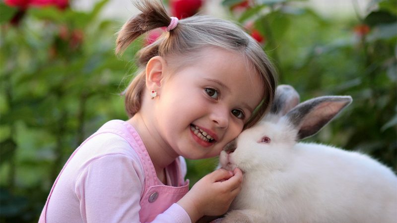 peter-child-bunny