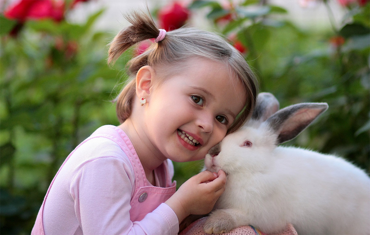 peter-child-bunny