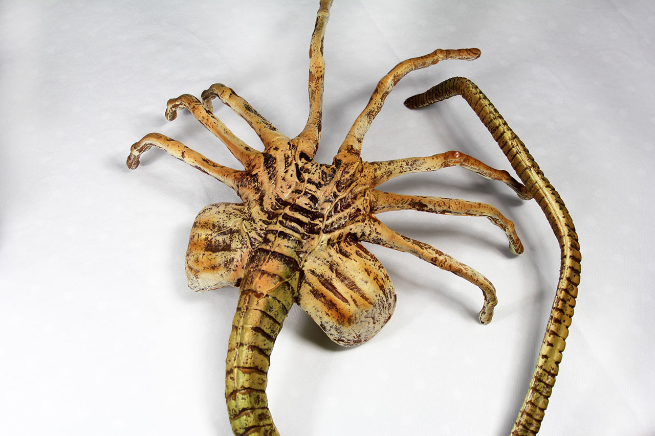 Alien-a-box-Facehugger