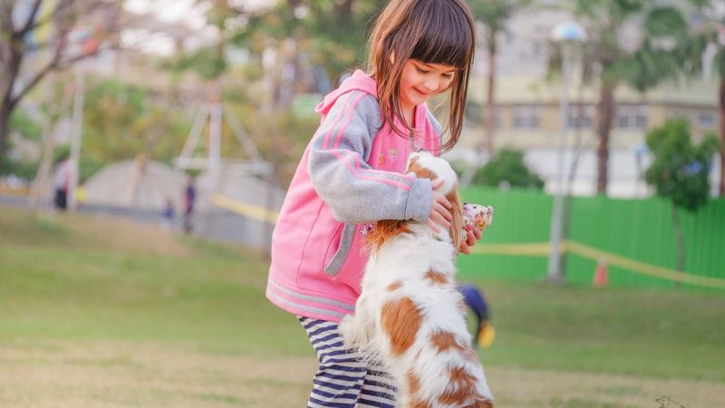 child with dog