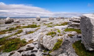 the-burren