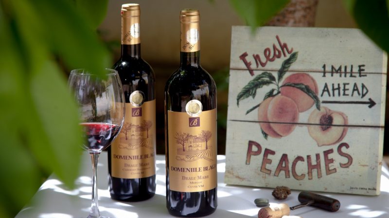 wine