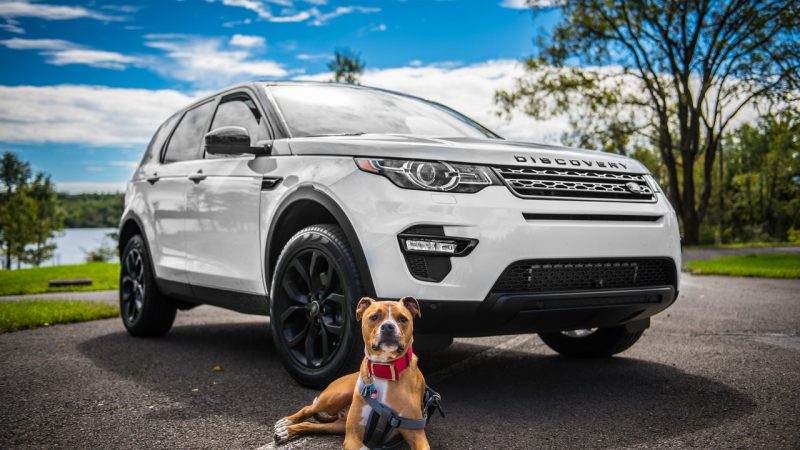 Best Family Cars for 2026 UK: Space, Safety and Value Rated | Daddy Geek