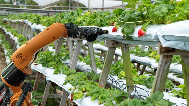 AI-The-Future-of-Food