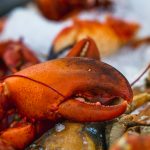 lobster