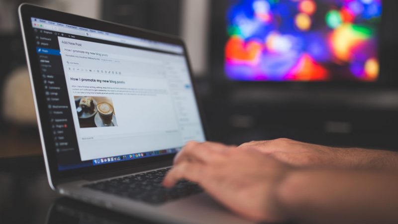 cms wordpress