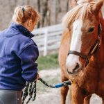 horses and children